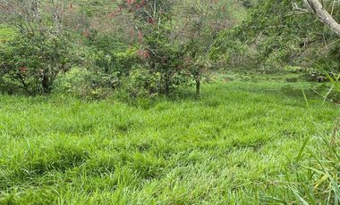 hacienda de venta en flavio alfaro manabi Y/T