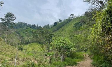 hacienda de venta en flavio alfaro manabi Y/T