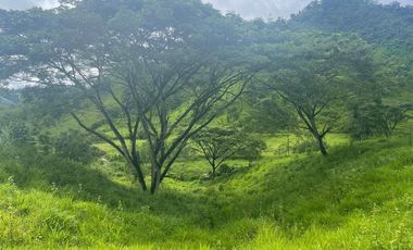 hacienda de venta en flavio alfaro manabi Y/T