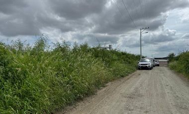 terreno comercial de venta en Montecriste fa