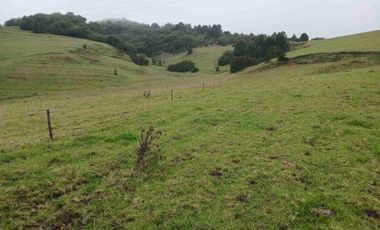 FINCA  SUESCA 18 FANEGADAS