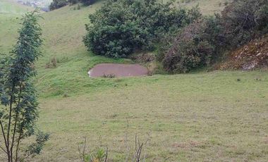 FINCA  SUESCA 18 FANEGADAS