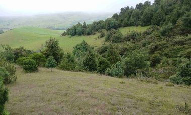 FINCA  SUESCA 18 FANEGADAS