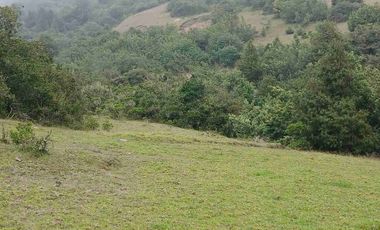 FINCA  SUESCA 18 FANEGADAS