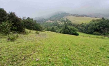 FINCA  SUESCA 18 FANEGADAS