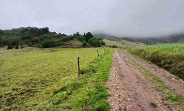 FINCA  SUESCA 18 FANEGADAS