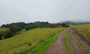 FINCA  SUESCA 18 FANEGADAS