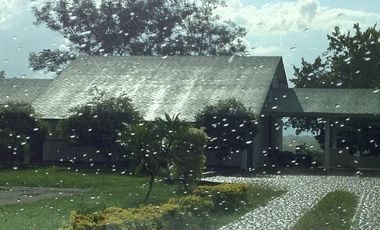 Oportunidad: Preciosa Casa Finca en zona de alta valorización.