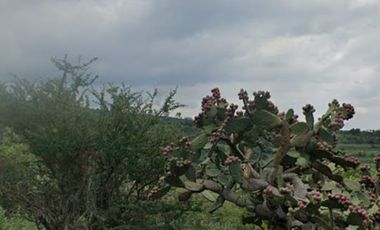 Terreno en venta en Lomas de La Cantera Tepeji del Rìo Hidalgo