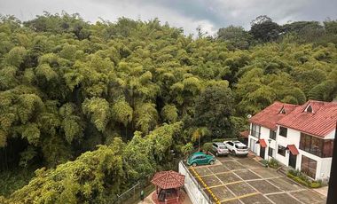 bosques de santa helena 1