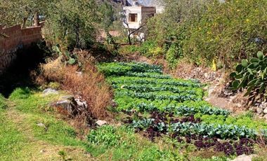 VENTA TERRENO EN YANACONA-URUBAMBA