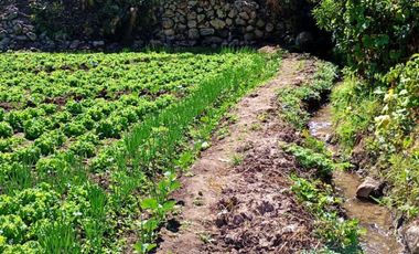 VENTA TERRENO EN YANACONA-URUBAMBA