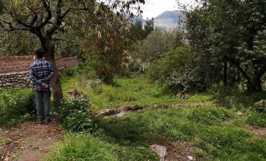 VENTA TERRENO EN YANACONA-URUBAMBA