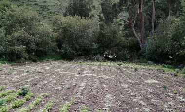 VENTA TERRENO EN YANACONA-URUBAMBA