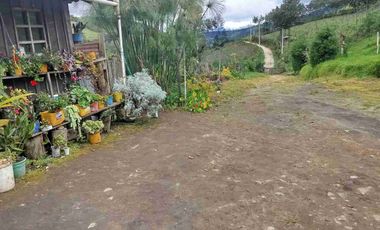 Venta de finca productiva y Ganadera 63 hectáreas