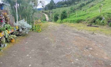 Venta de finca productiva y Ganadera 63 hectáreas