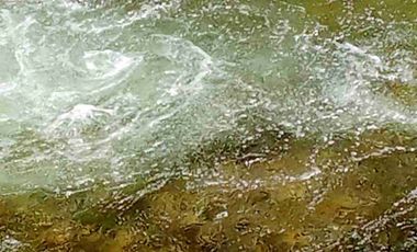 Venta de finca productiva y Ganadera 63 hectáreas