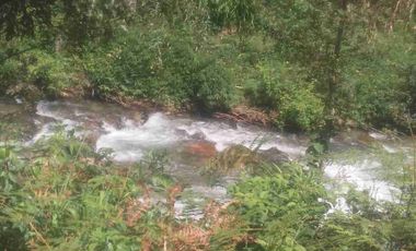 Venta de finca productiva y Ganadera 63 hectáreas