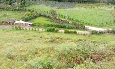Venta de finca productiva y Ganadera 63 hectáreas
