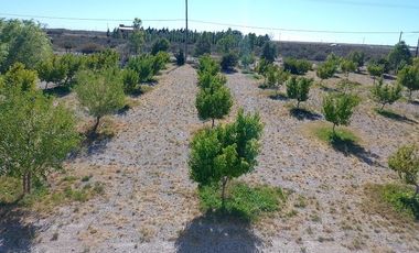 Casa en venta en Puerto Madryn, El Doradillo 2 Hectáreas