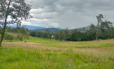 Venta finca Villa de Leyva Sotelo