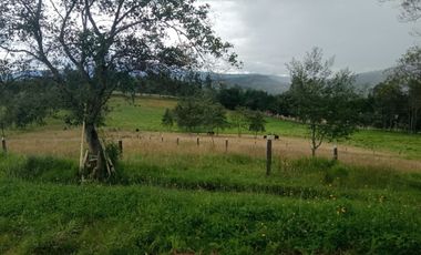 Venta finca Villa de Leyva Sotelo