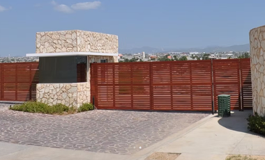 🏡 ¡Vive en Hemisferia, el hábitat contemporáneo de Cabo San Lucas! 🏖️