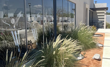 🏡 ¡Vive en Hemisferia, el hábitat contemporáneo de Cabo San Lucas! 🏖️