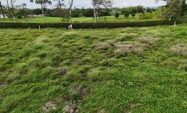 VENTA DE LOTE CAMPESTRE AL LADO DE LAS HELICONIAS