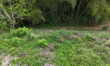 VENTA DE LOTE CAMPESTRE AL LADO DE LAS HELICONIAS