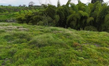 VENTA DE LOTE CAMPESTRE AL LADO DE LAS HELICONIAS