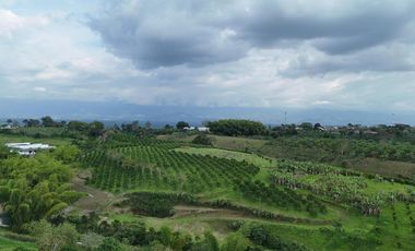 VENTA DE LOTE CAMPESTRE AL LADO DE LAS HELICONIAS