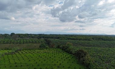 VENTA DE LOTE CAMPESTRE AL LADO DE LAS HELICONIAS