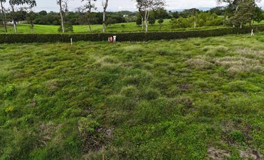 VENTA DE LOTE CAMPESTRE AL LADO DE LAS HELICONIAS