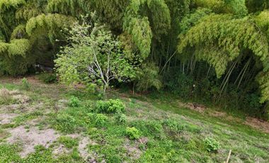 VENTA DE LOTE CAMPESTRE AL LADO DE LAS HELICONIAS
