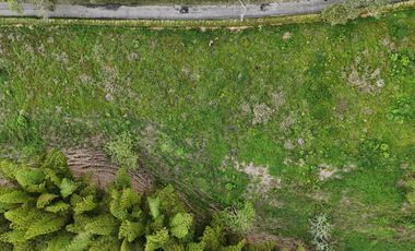 VENTA DE LOTE CAMPESTRE AL LADO DE LAS HELICONIAS