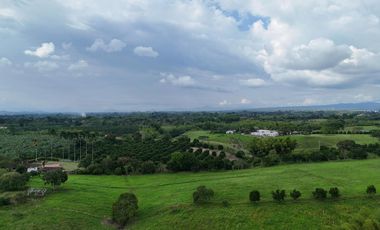 VENTA DE LOTE CAMPESTRE AL LADO DE LAS HELICONIAS