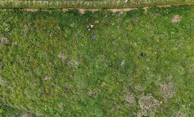 VENTA DE LOTE CAMPESTRE AL LADO DE LAS HELICONIAS
