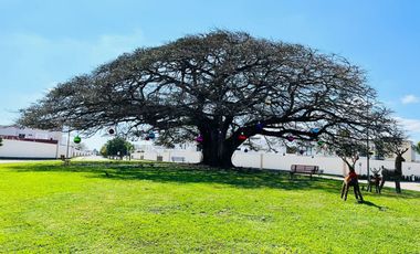 Casa en Renta en Veracruz con Alberca Fracc. Lomas de La Rioja