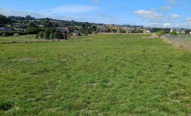 Se vende Parcela 5000m2, Molino Viejo, Puerto Varas