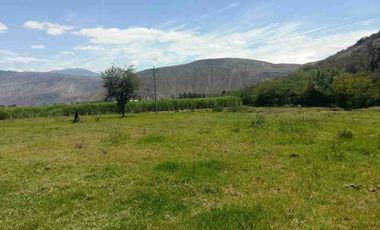 Venta de 1 hectárea de terreno en Imbaya