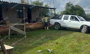 VENDO FINCA EN VDA SAN LA INMACULADA SAN RAFAEL