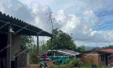 VENDO FINCA EN VDA SAN LA INMACULADA SAN RAFAEL