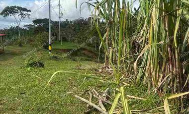 VENDO FINCA EN VDA SAN LA INMACULADA SAN RAFAEL