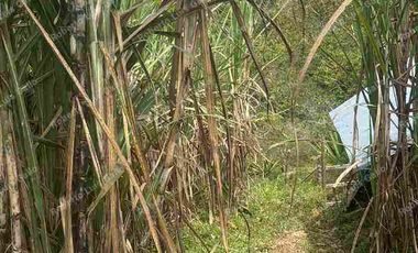 VENDO FINCA EN VDA SAN LA INMACULADA SAN RAFAEL