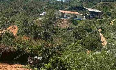 VENDO FINCA EN VDA SAN LA INMACULADA SAN RAFAEL