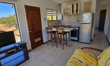 Desde marzo, leer descripción, año corrido