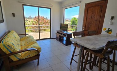 Desde marzo, leer descripción, año corrido