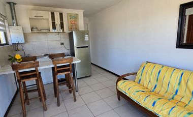 Desde marzo, leer descripción, año corrido