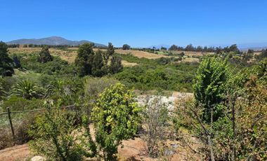 Desde marzo, leer descripción, año corrido